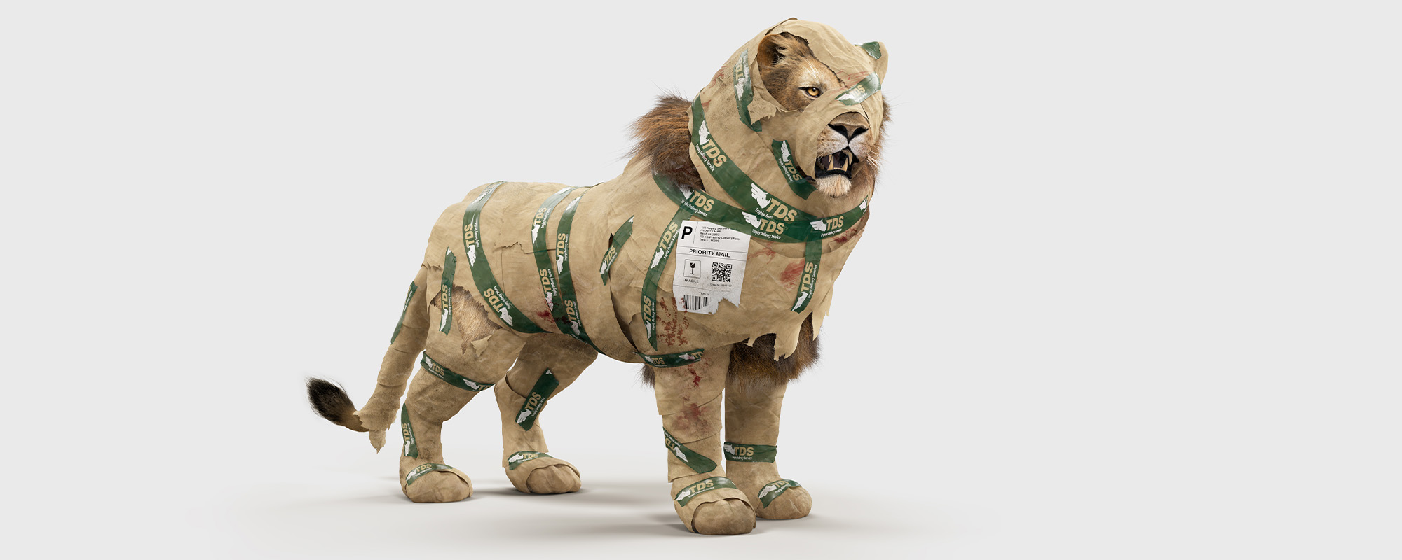 wrapped lion