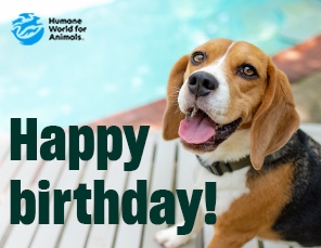 E-card Selection: Happy Birthday Card with Dog Image