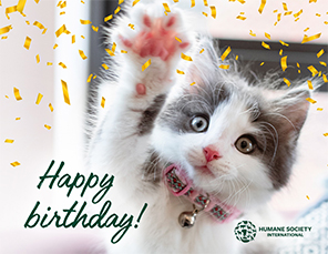 E-card Selection: Happy Birthday Card with Cat Image