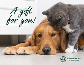 E-card Selection: Gift Card with Dog and Cat Image