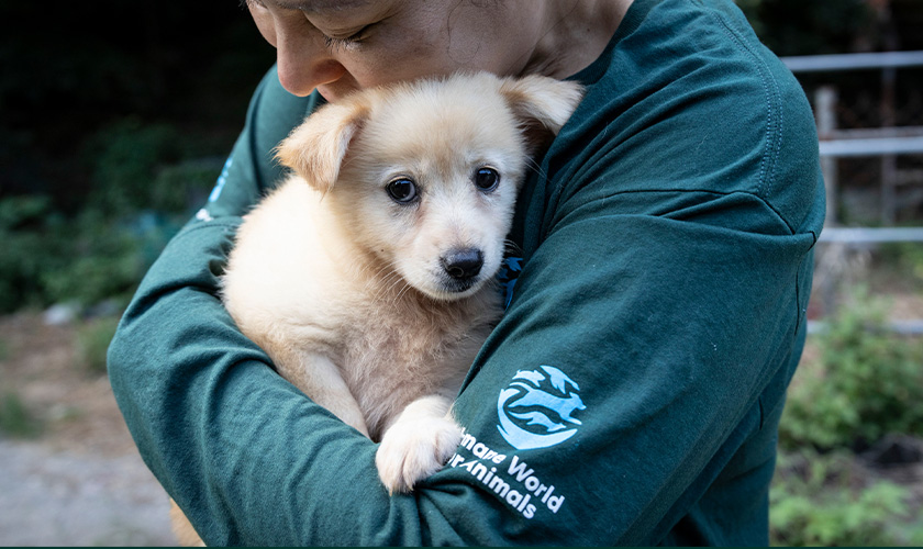 AR team member with dog in hands image