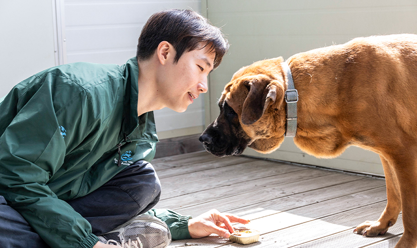 Rescuer with dog fire survivor