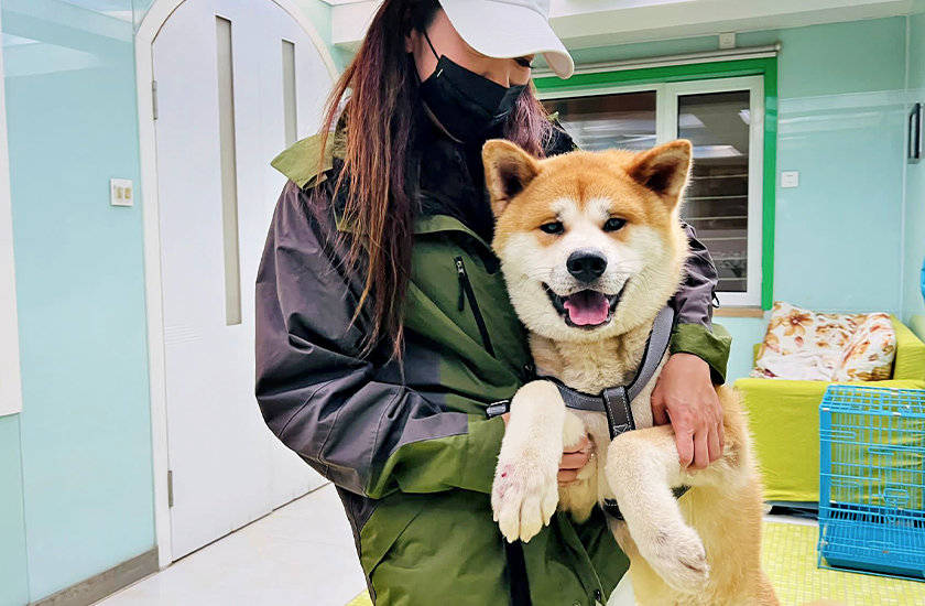 Humans hugging Lucky