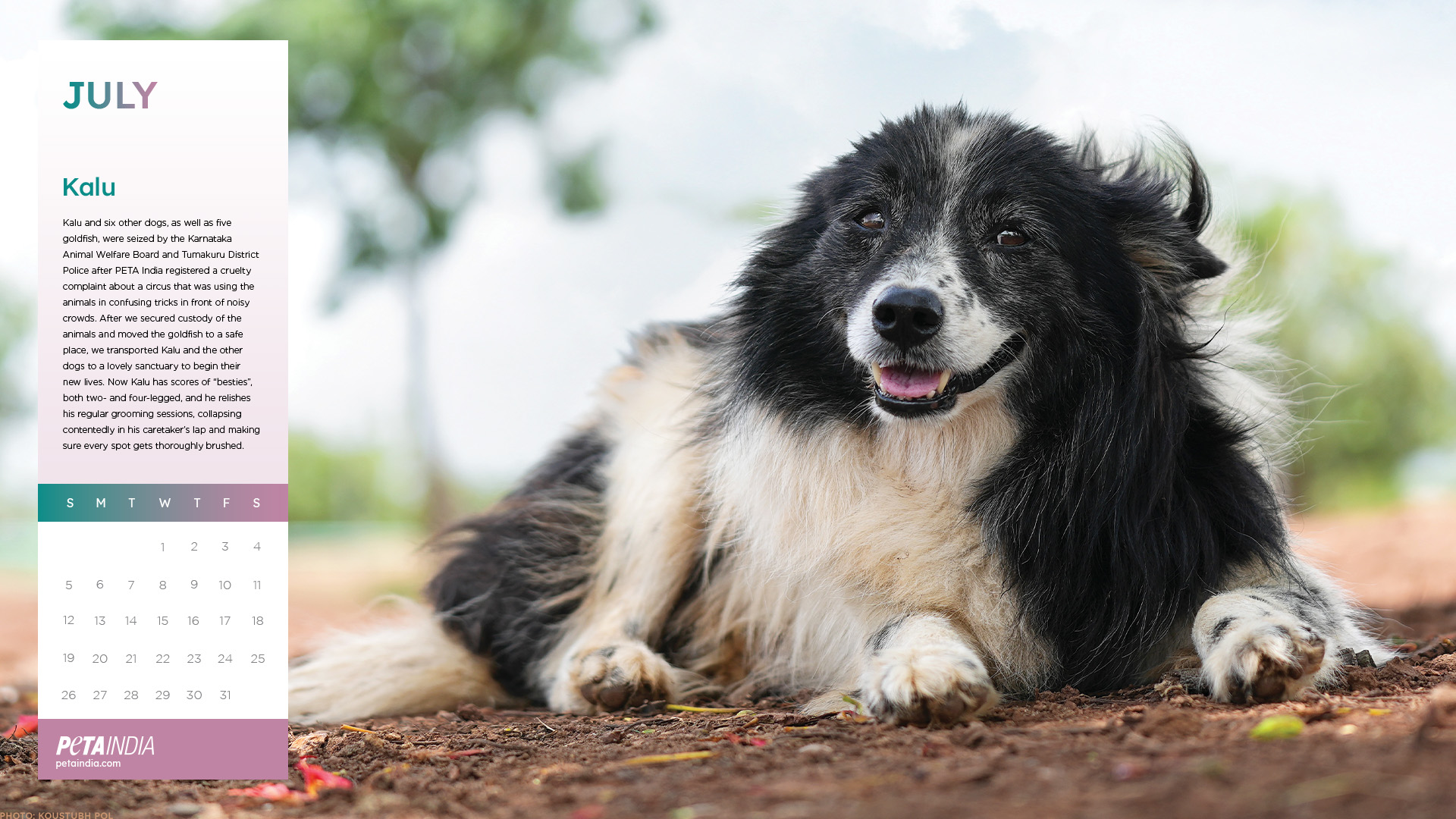 Animals Featured in PETA's 2025 Rescued Calendar | PETA India