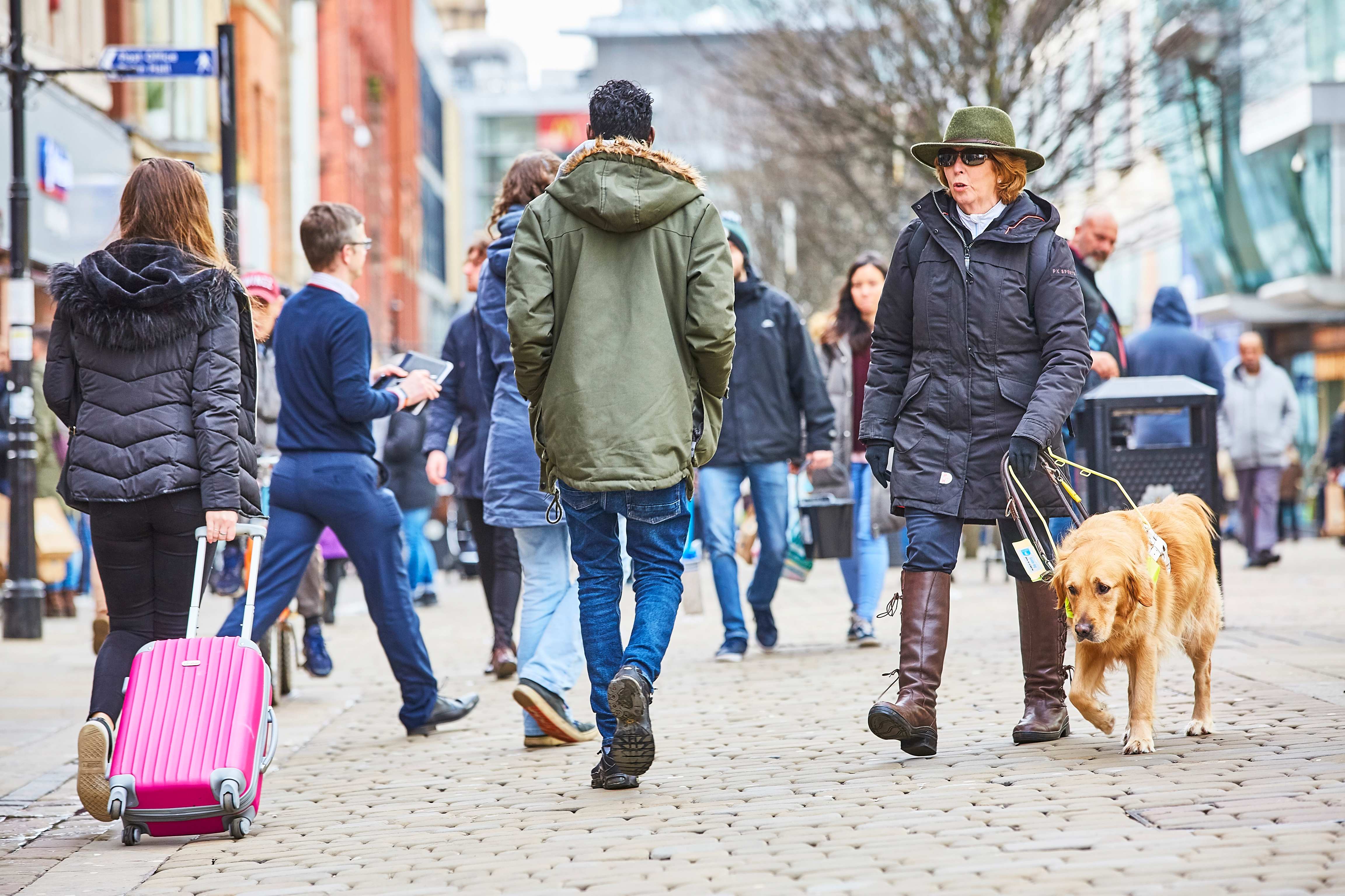 a lady with a guide dog navigates a busy high street