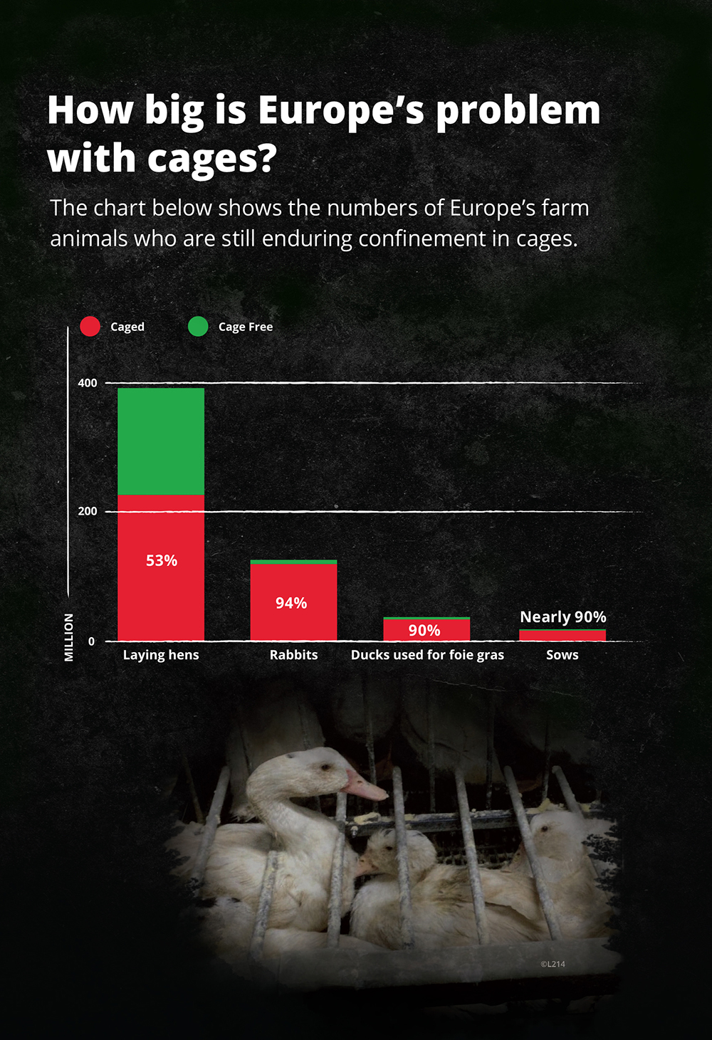 EU caged farming graph
