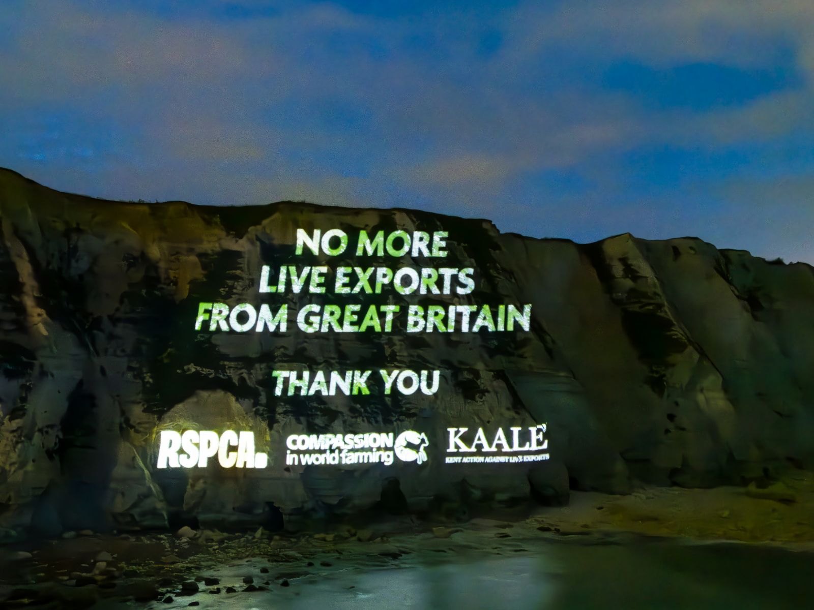 Dover Cliffs projection image announcing ban on live exports from Great Britain