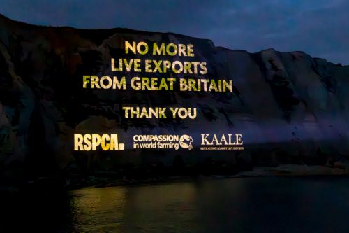 Celebration projection onto the White Cliffs of Dover