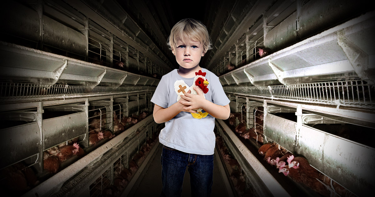 boy in chicken factory farm