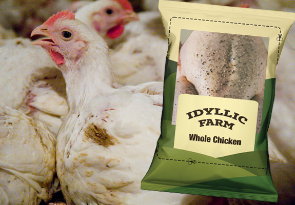 Broilers crammed inside with an Idyllic Farm whole roast chicken package overlaid.