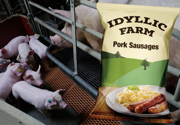 A sow in a crate and her a piglets nearby with a packed of Udyllic Farm sausages overlaid.
