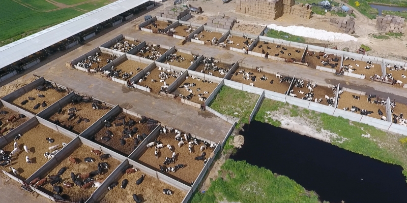 arial view of a factory farm