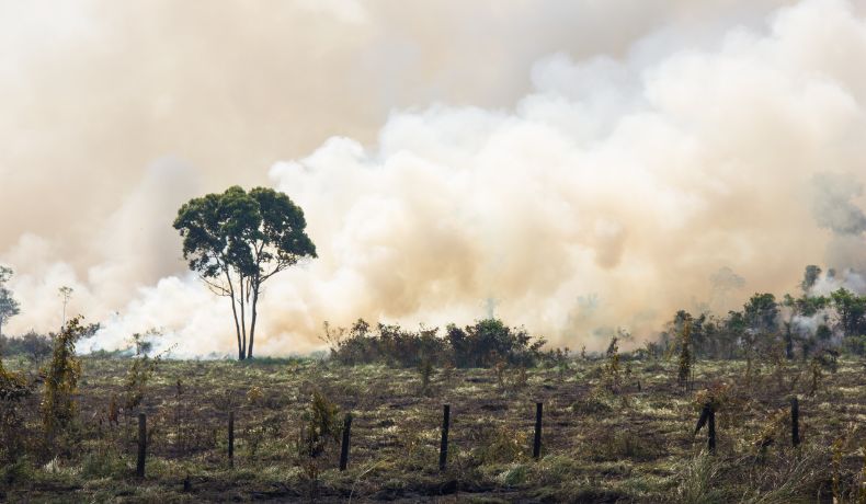 devestation after a wildfire