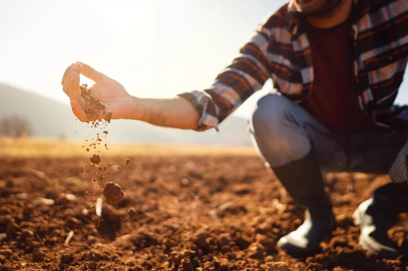 Agriculteur retournant le sol dans un champ