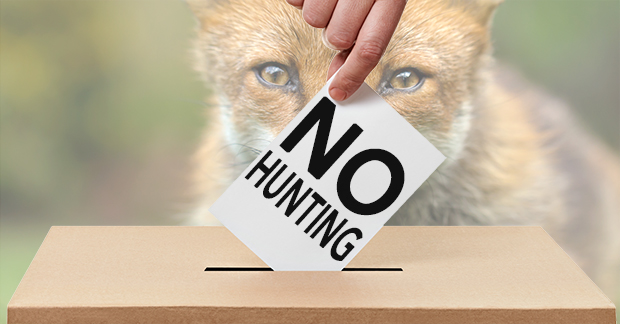 No Hunting Vote