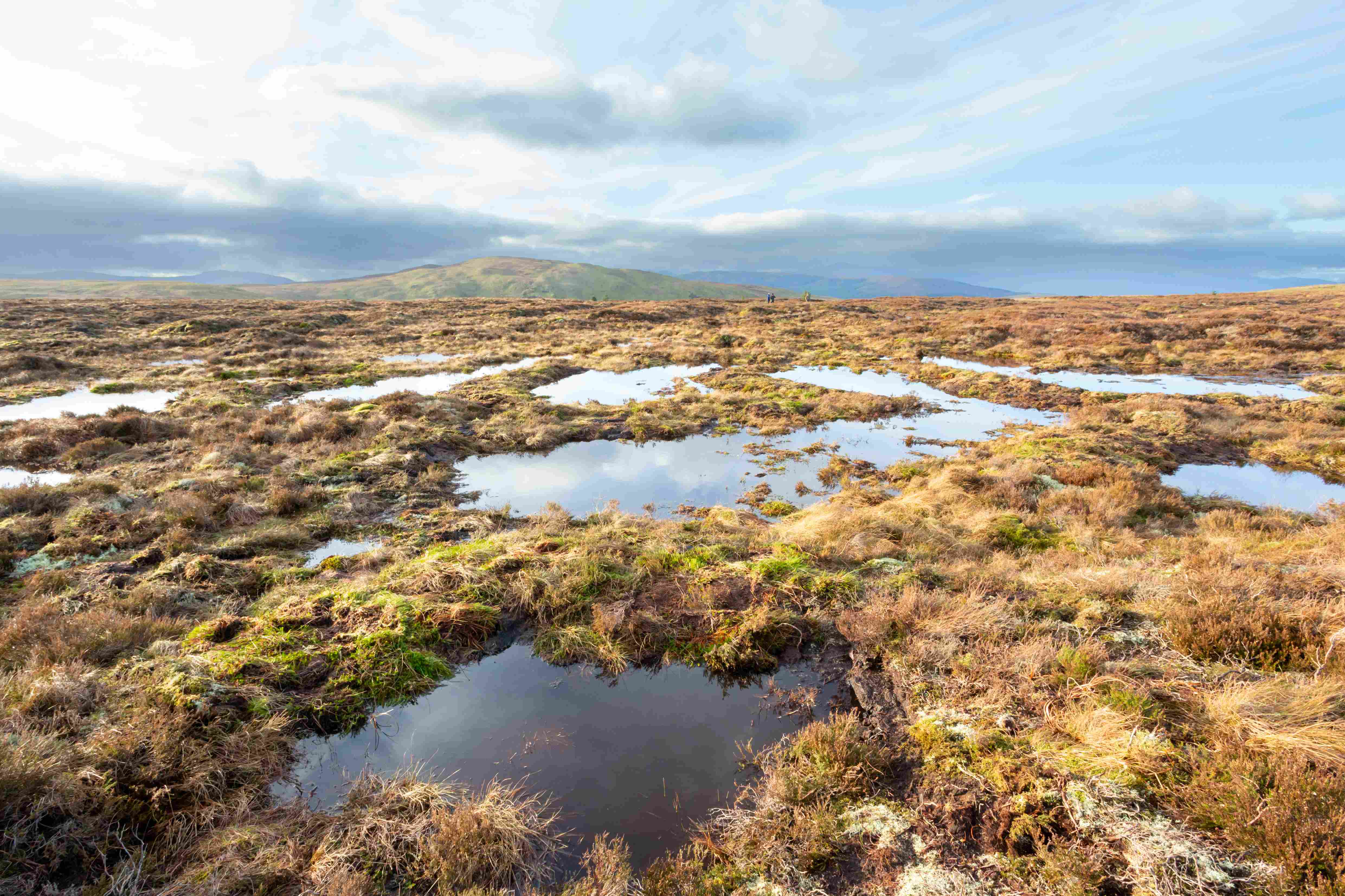 Send your MP a message - Nature Can't Wait - The RSPB
