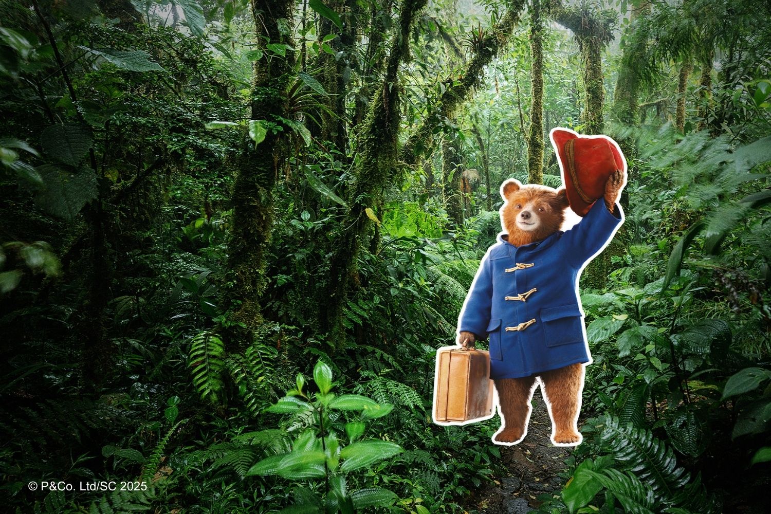 Paddington's Postcards