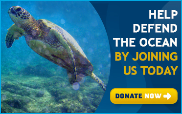 Defend the ocean Defend the ocean