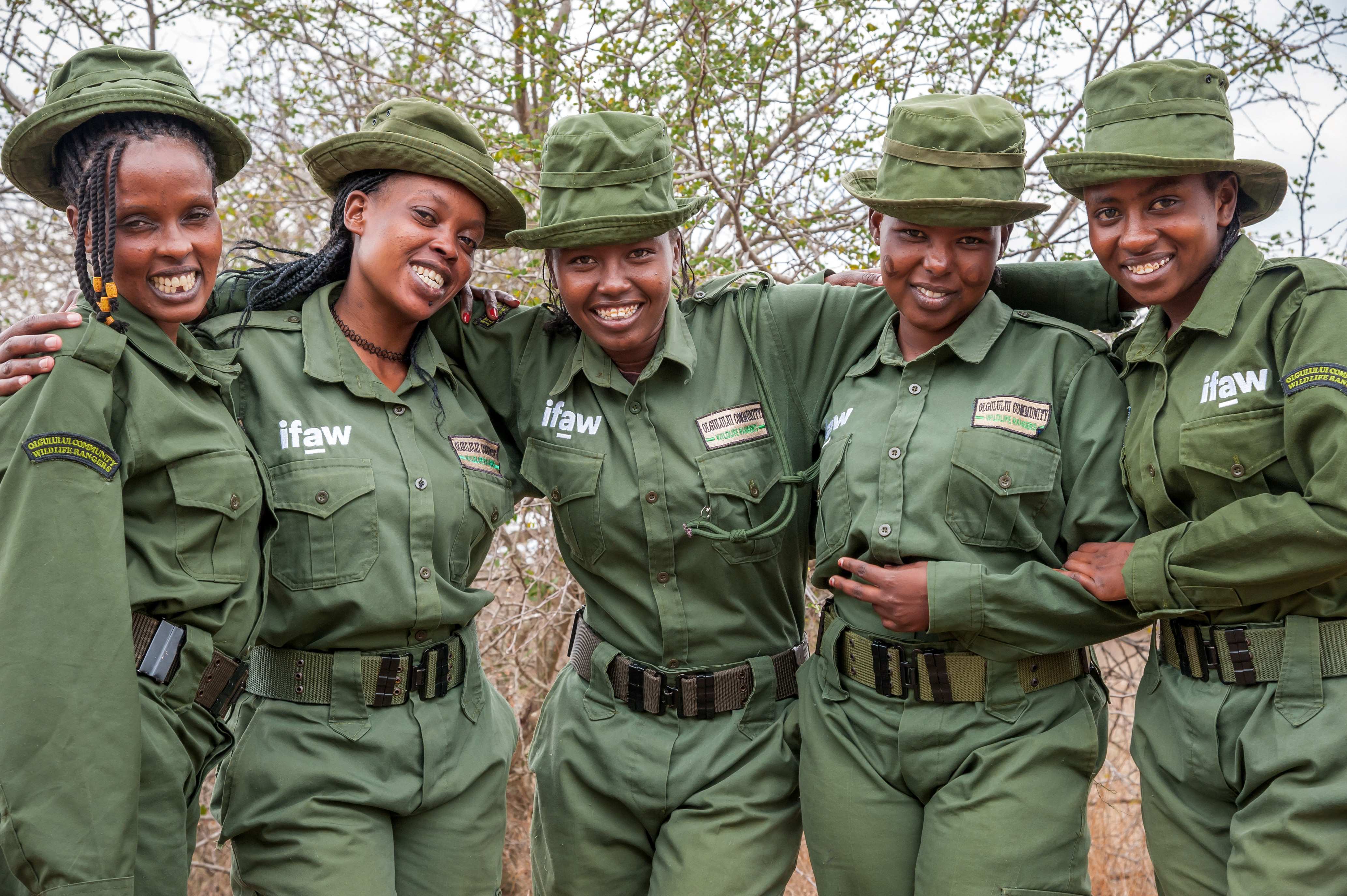 Send a thank you note to a wildlife hero! | IFAW.org/uk - International ...