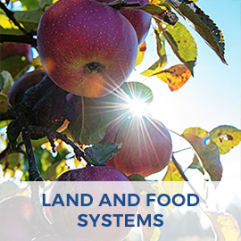 Land and Food Systems