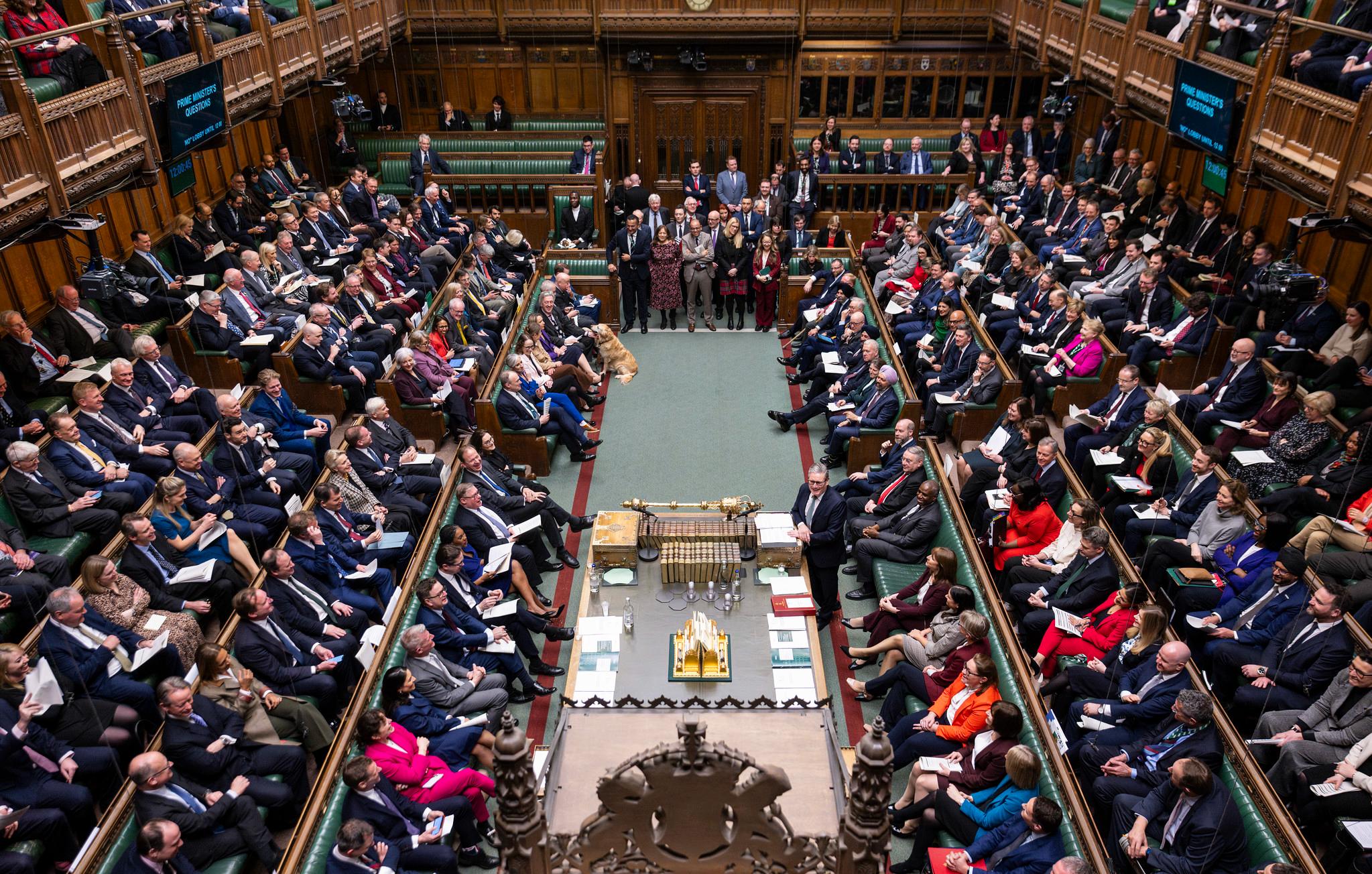 Parliament
