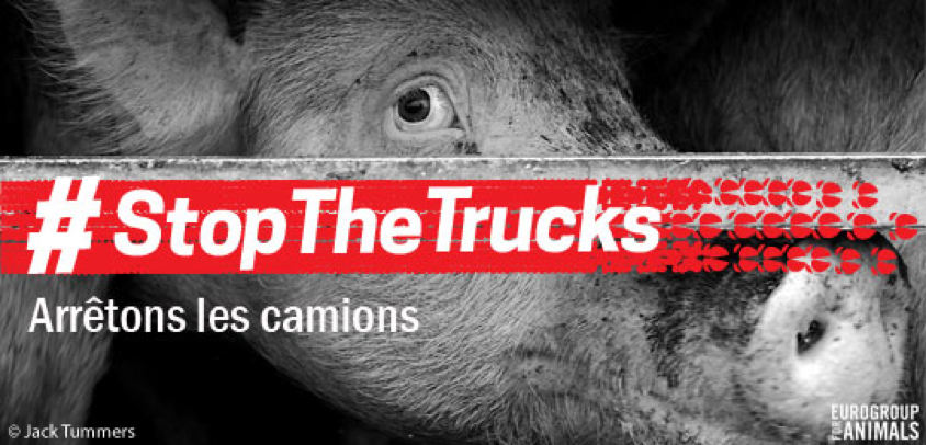 Stop The Trucks Stop The Trucks