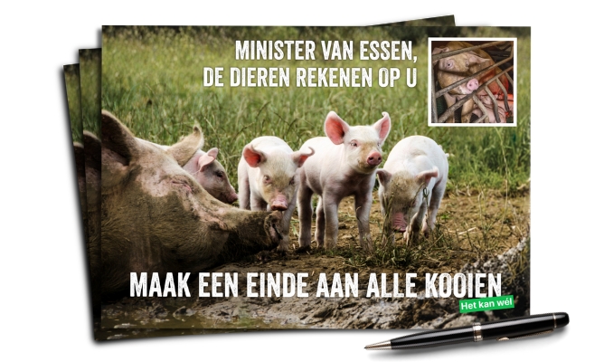 Mockup van de actiekaart voor minister Van Essen