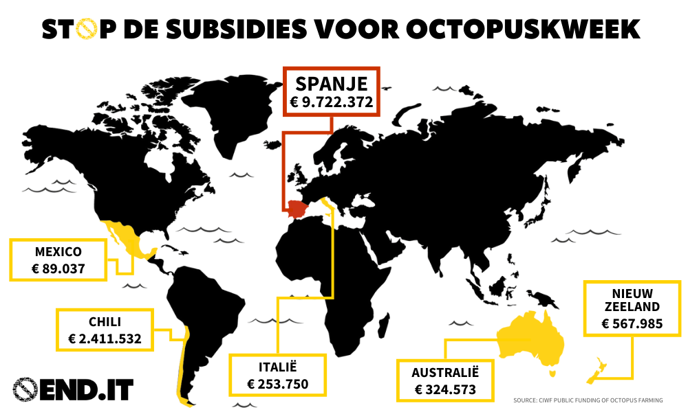 Wereldkaart met daarop de bedragen die landen investeren in de octopuskweek. Spanje €9722372 Mexico €89037. Chili €2411532. Italië €253750. Australië €324573. Nieuw Zeeland €567985.