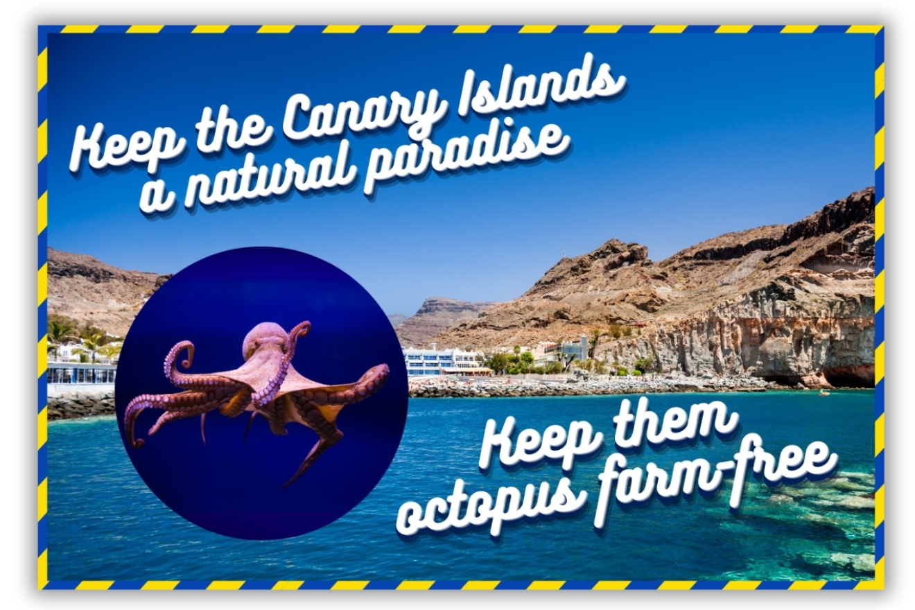 Mock-up van de vakantiekaart voor de Tourist Board of Gran Canaria.