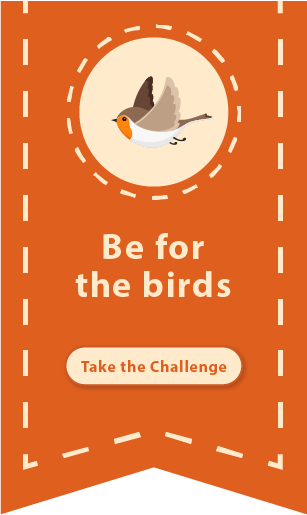 be-birds