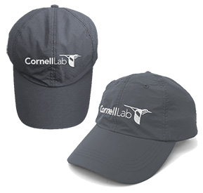 Cornell Lab Hat