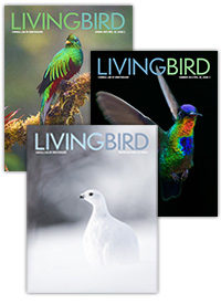 Living Bird Magazine