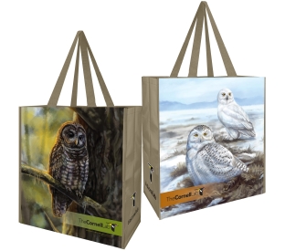 Grocery Tote Bag