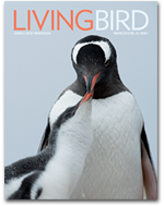 Living Bird Magazine