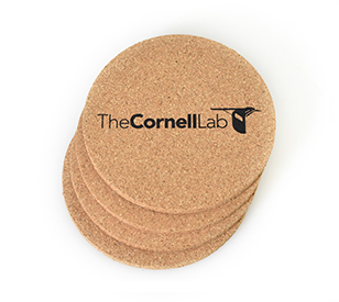 Cornell Lab Coasters