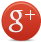 Google Plus social icon