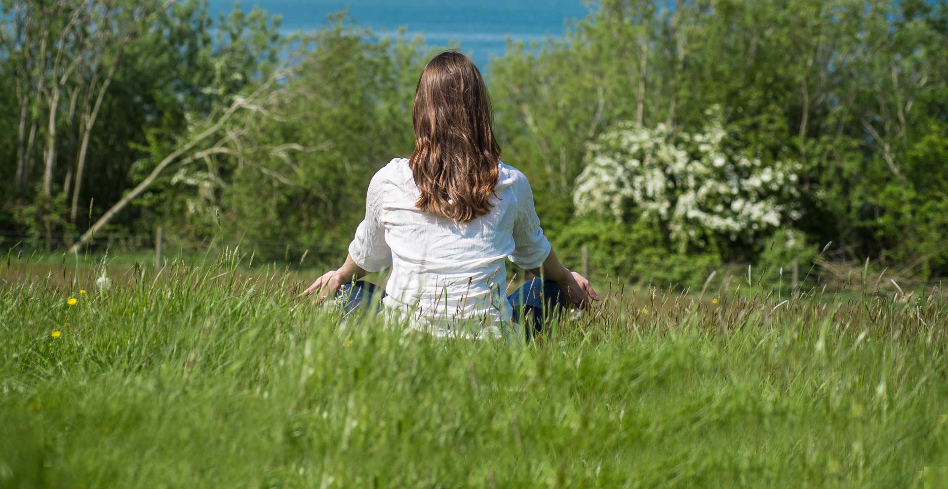 Afirman que pasar 2 horas semanales en contacto con la naturaleza podría mejorar tu salud Imagen relacionada