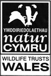 Wildlife Trusts Wales
