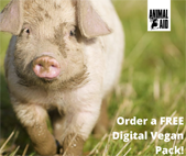 digital vegan pack