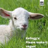 Kellogg's make it vegan