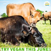 SVP try vegan this June