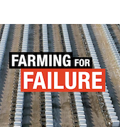 Farming for Failure - Greenpeace