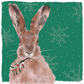 Hopeful Hare Christmas card