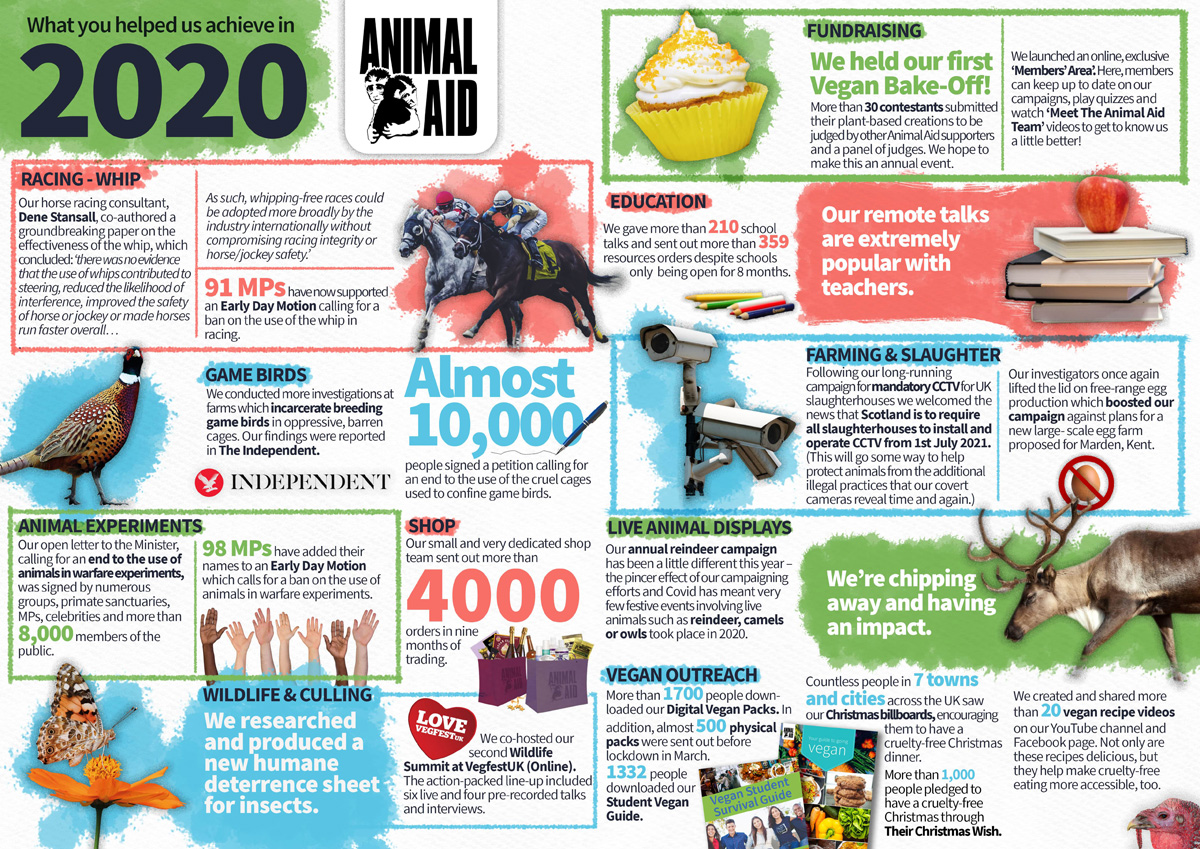 Infographic of Animal Aid achievements 2020