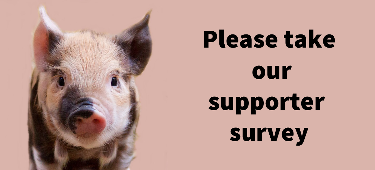 take our supporter survey