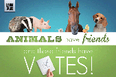 Vote for Animals