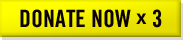 Donate Now