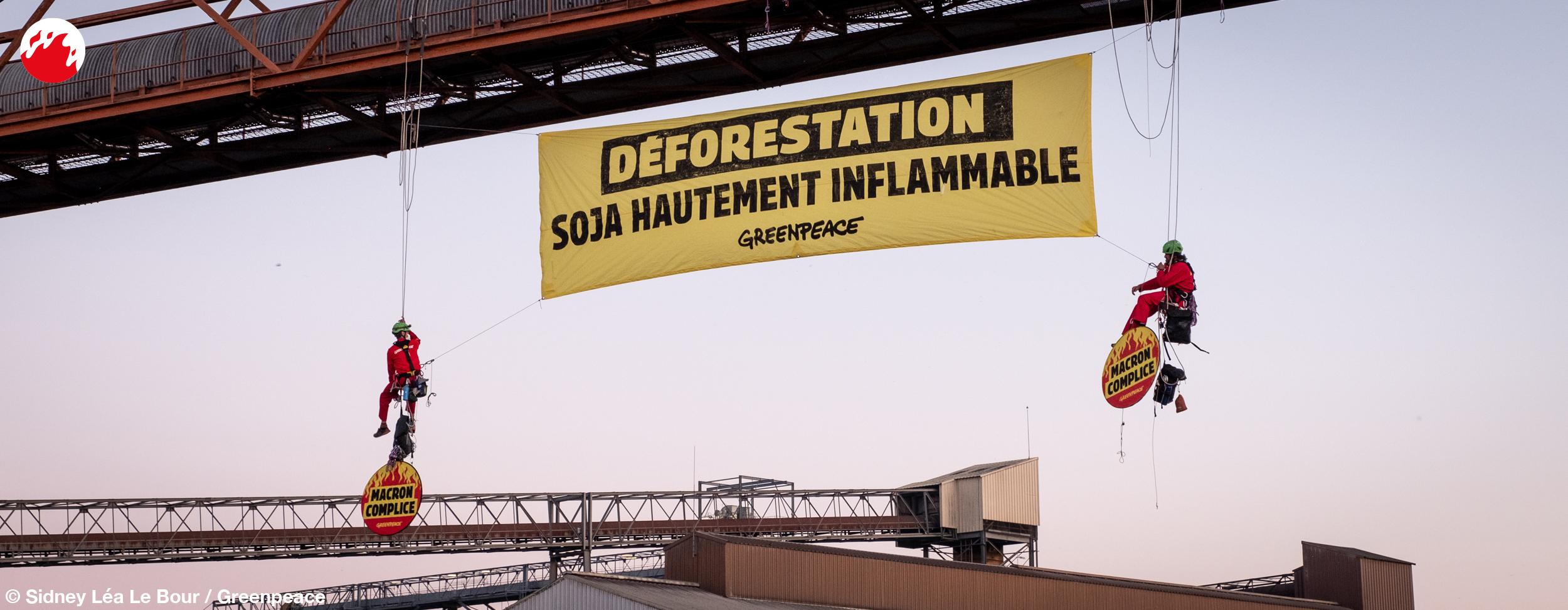 Déforestation : Soja hautement inflammable