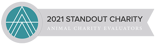 2021 Standout Charity - Animal Charity Regulators