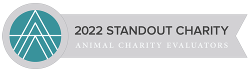 2022 Standout Charity - Animal Charity Regulators